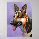Buscar perro pastor posters Perros