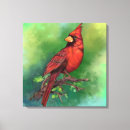 Buscar cardenales arte Pájaro