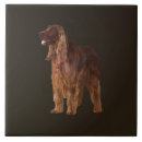 Buscar irlanda azulejos Rojo