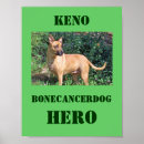 Buscar huesos de perro posters Canina