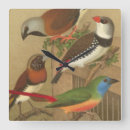 Buscar pájaro en rama relojes de pared Colorido