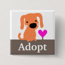 Buscar adopción del perro chapas Perros