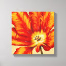 Buscar parrot Tropical