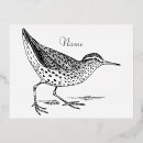 Buscar vagabundo postales Océano