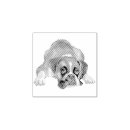 Buscar boxeadores postales Raza