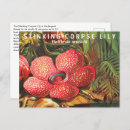 Buscar flores grandes postales Para todos