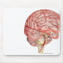 Buscar cerebro humano alfombrillas de raton Cuerpo