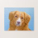 Buscar pequeño perro puzzles Recuperador