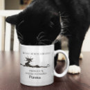 Buscar gatito persa tazas Café