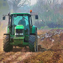 Buscar vida en el campo adornos Agricultura