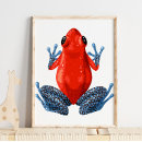 Buscar ranas posters Para niños