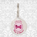 Buscar damasco collares Perros