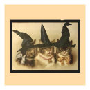 Buscar gatos negros postales Halloween