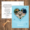 Buscar amantes del perro invitaciones Para mascotas