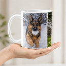 Buscar pastores alemanes tazas General y unisex
