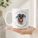 Buscar pastores tazas Amante de los perros