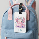 Buscar ajolote accesorios Kawaii