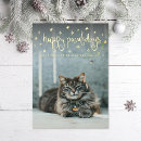 Buscar cat christmas tarjetas 10 º estropajo