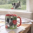 Buscar border collie lindo tazas Para todos