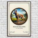 Buscar malinois posters Belga