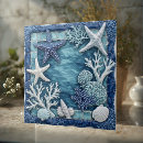 Buscar mares azulejos Para él