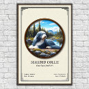 Buscar barbudo posters Collie