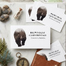 Buscar oso tarjetas de visita Bosque