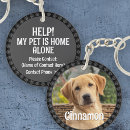 Buscar peludos llaveros Amante de los perros