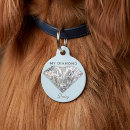 Buscar estilo mascotas General y unisex