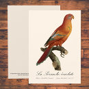 Buscar borneo tarjetas Para todos