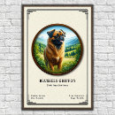 Buscar perro juguete posters Raza