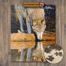 Buscar lobos grises puzzles Para todos