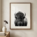Buscar del bisonte posters Búfalo