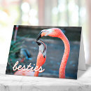 Buscar flamencos tarjetas Pájaro