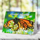 Buscar monarca tarjetas Mariposa