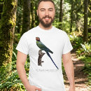 Buscar pericos camisetas Ave