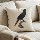 Buscar plumas rojas cojines Para todos