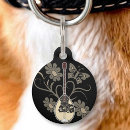 Buscar músicos collares Para todos