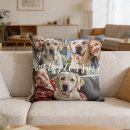Buscar fotos de animales cojines Para ellos