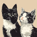 Buscar garras iphone fundas Gato