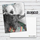 Buscar cariño postales General y unisex