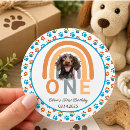 Buscar perro pegatinas Para niños