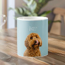 Buscar perros tazas Para todos