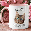 Buscar imagen del gato tazas Para él