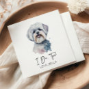 Buscar perro maltés Retrato de perro