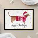 Buscar perros de la nieve tarjetas Negro