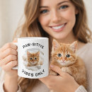 Buscar divertidas del gato tazas Divertido