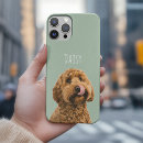 Buscar perro Para todos