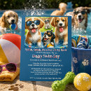 Buscar perro flyers Para mascotas