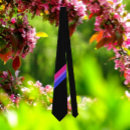 Buscar diagonal corbatas General y unisex